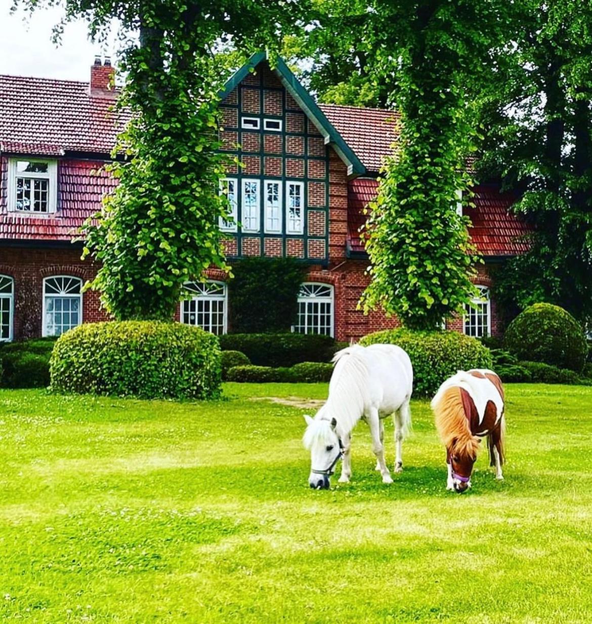 Hotel Hof Kirchhorst Gross Wittensee Extérieur photo